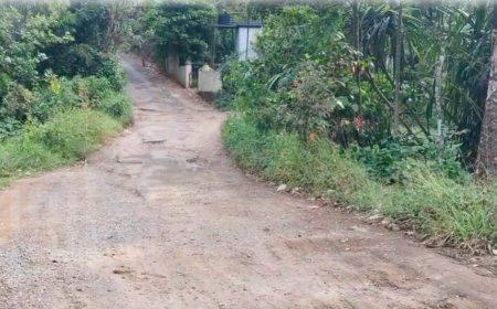 അമ്പലക്കവല മൈത്രി നഗര്‍ റോഡിനോട് നഗരസഭയുടെ അനാസ്ഥ