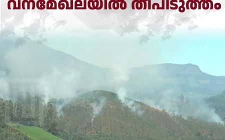 മൂന്നാറില്‍ റോഡിനോട് ചേര്‍ന്ന വനമേഖലയില്‍ തീപിടുത്തം 