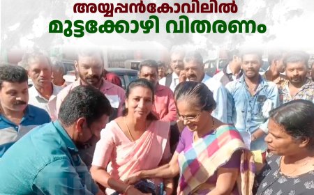 അയ്യപ്പന്‍കോവിലില്‍ മുട്ടക്കോഴി വിതരണം