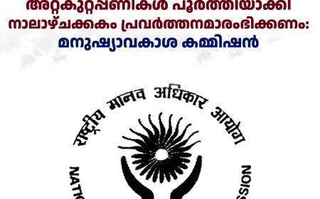 അഞ്ചുരുളിയിലെ ശൗചാലയത്തിന്റെ അറ്റകുറ്റപ്പണികള്‍ പൂര്‍ത്തിയാക്കി നാലാഴ്ചക്കകം പ്രവര്‍ത്തനമാരംഭിക്കണം: മനുഷ്യാവകാശ കമ്മിഷന്‍ 