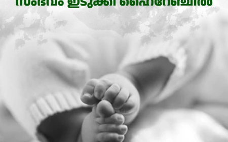 9-ാം ക്ലാസുകാരി പ്രസവിച്ചു: കാമുകന്‍ 8-ാം ക്ലാസ് വിദ്യാര്‍ഥി: സംഭവം ഇടുക്കി ഹൈറേഞ്ചില്‍