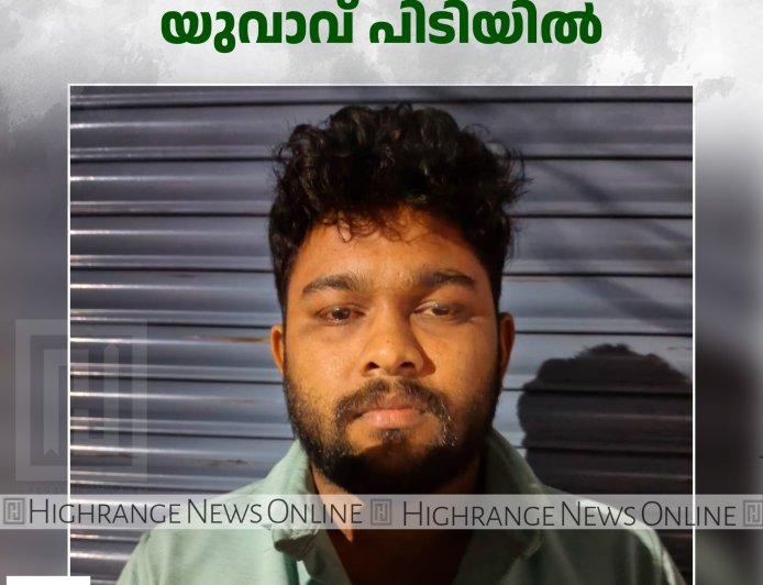 കട്ടപ്പനയില്‍  20ഗ്രാം എംഡിഎംഎയുമായി യുവാവ് പിടിയില്‍ 