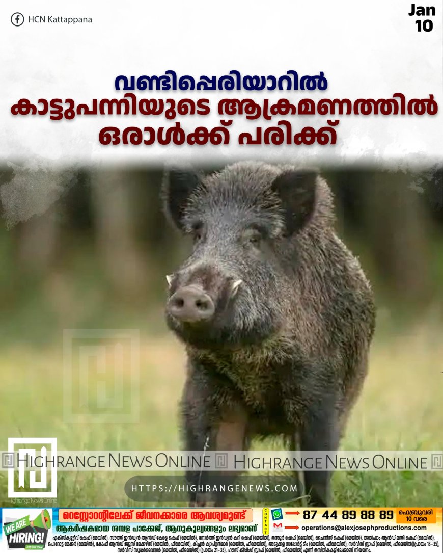 വണ്ടിപ്പെരിയാറില് കാട്ടുപന്നിയുടെ ആക്രമണത്തില് ഒരാള്ക്ക് പരിക്ക്