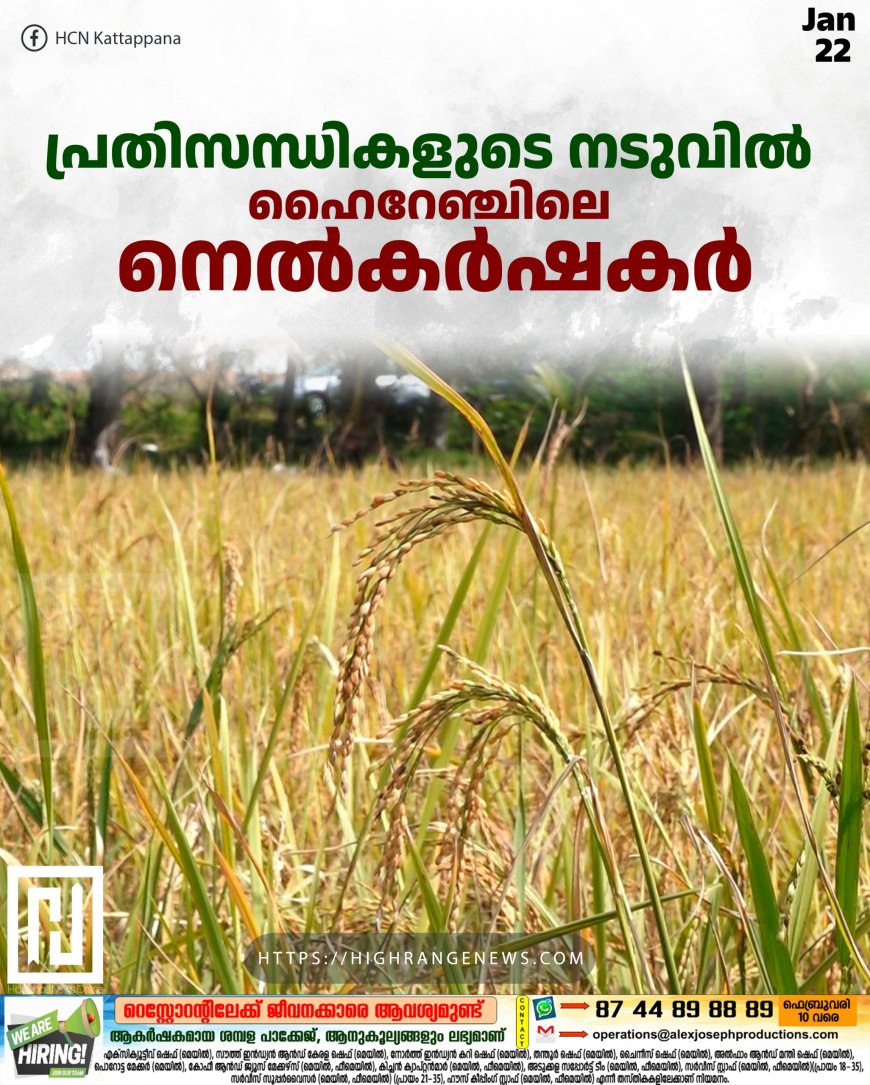 പ്രതിസന്ധികളുടെ നടുവില് ഹൈറേഞ്ചിലെ നെല്കര്ഷകര്