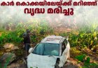 ഈട്ടിത്തോപ്പിൽ കാർ കൊക്കയിലേയ്ക്ക് മറിഞ്ഞ് വൃദ്ധ മരിച്ചു