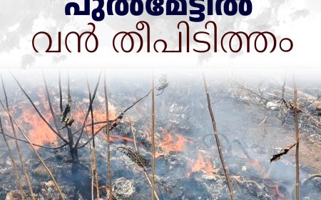 നെടുങ്കണ്ടത്ത് പുല്‍മേട്ടില്‍ വന്‍ തീപിടിത്തം
