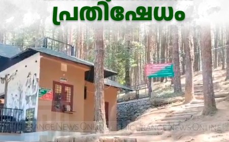 തട്ടാത്തിക്കാനം പൈന്‍കാട് സന്ദര്‍ശനത്തിന് ഫീസ്: വനംവകുപ്പിനെതിരെ പ്രതിഷേധം