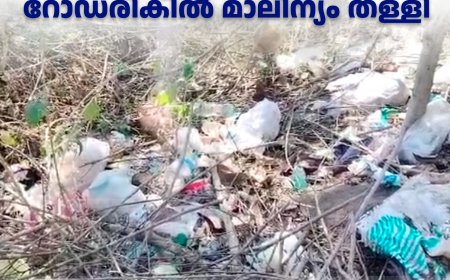 വണ്ടിപ്പെരിയാറില്‍ റോഡരികില്‍ മാലിന്യം തള്ളി