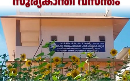 പുറ്റടി നെഹ്‌റുസ്മാരക പഞ്ചായത്ത് സ്‌കൂളില്‍ സൂര്യകാന്തി വസന്തം 