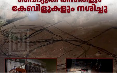 കട്ടപ്പനയിൽ ചരക്ക് ലോറിയിൽ കുടുങ്ങി വൈദ്യുതി കമ്പികളും കേബിളുകളും നശിച്ചു