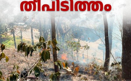 കട്ടപ്പന കല്ലുകുന്നിൽ കൃഷിയിടത്തിൽ തീപിടിത്തം