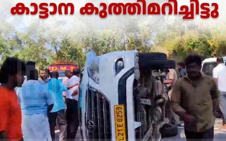ദേവികുളത്ത് ഓടിക്കൊണ്ടിരുന്ന കാർ കാട്ടാന കുത്തിമറിച്ചിട്ടു