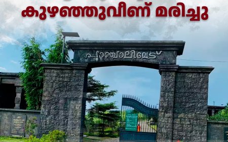 പാഞ്ചാലിമേട്ടിലെ റിസോര്‍ട്ടില്‍ ആലപ്പുഴ സ്വദേശി കുഴഞ്ഞുവീണ് മരിച്ചു
