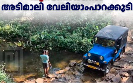 അടിസ്ഥാന സൗകര്യങ്ങളില്ല: അവഗണനയുടെ പുറമ്പോക്കില്‍ അടിമാലി വേലിയാംപാറക്കുടി