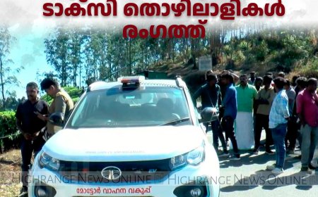 മൂന്നാറില്‍ പരിശോധന ശക്തമാക്കി എംവിഡി: പ്രതിഷേധവുമായി ടാക്‌സി തൊഴിലാളികള്‍ രംഗത്ത് 