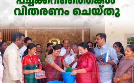  കട്ടപ്പന നഗരസഭയില്‍ പച്ചക്കറിത്തൈകള്‍ വിതരണം ചെയ്തു