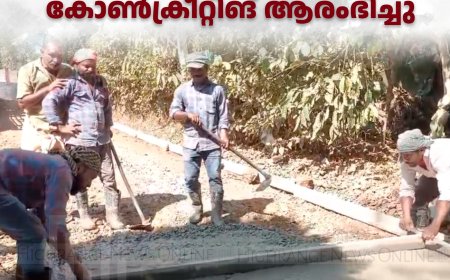 അയ്യപ്പന്‍കോവില്‍ തുരുത്ത്- കോളനി റോഡിന്റെ കോണ്‍ക്രീറ്റിങ് ആരംഭിച്ചു