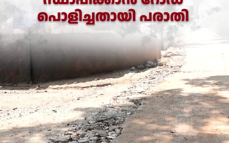 അടിമാലി ഇരുന്നൂറേക്കറില്  കുടിവെള്ള പൈപ്പുകള് സ്ഥാപിക്കാന് റോഡ് പൊളിച്ചതായി പരാതി