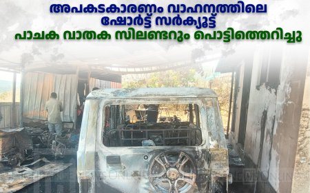 വണ്ടിപ്പെരിയാറില്‍ വീടിന്റെ ഷെഡ്ഡിന് തീപിടിച്ച് 3 വാഹനങ്ങള്‍ കത്തിനശിച്ചു: അപകടകാരണം വാഹനത്തിലെ ഷോര്‍ട്ട് സര്‍ക്യൂട്ട്: പാചക വാതക സിലണ്ടറും പൊട്ടിത്തെറിച്ചു