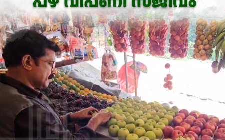 വേനല്‍ ചൂടകറ്റാന്‍ ഹൈറേഞ്ചില്‍ പഴ വിപണി സജീവം