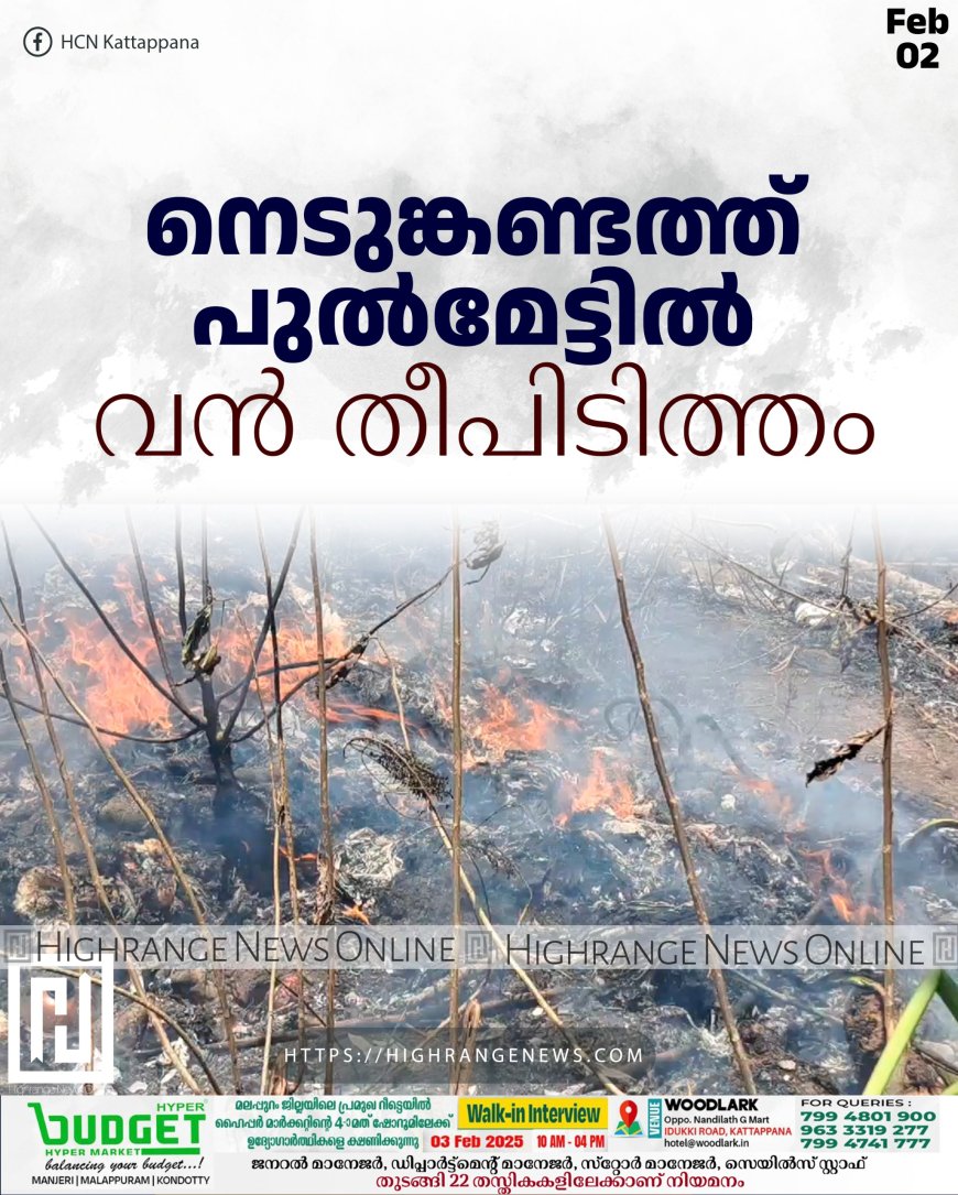 നെടുങ്കണ്ടത്ത് പുല്‍മേട്ടില്‍ വന്‍ തീപിടിത്തം