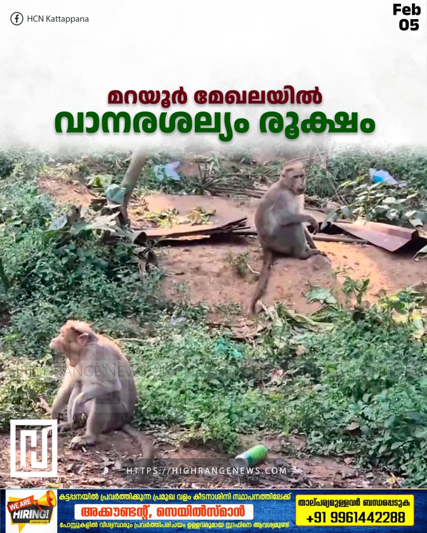 മറയൂര് മേഖലയില് വാനരശല്യം രൂക്ഷം