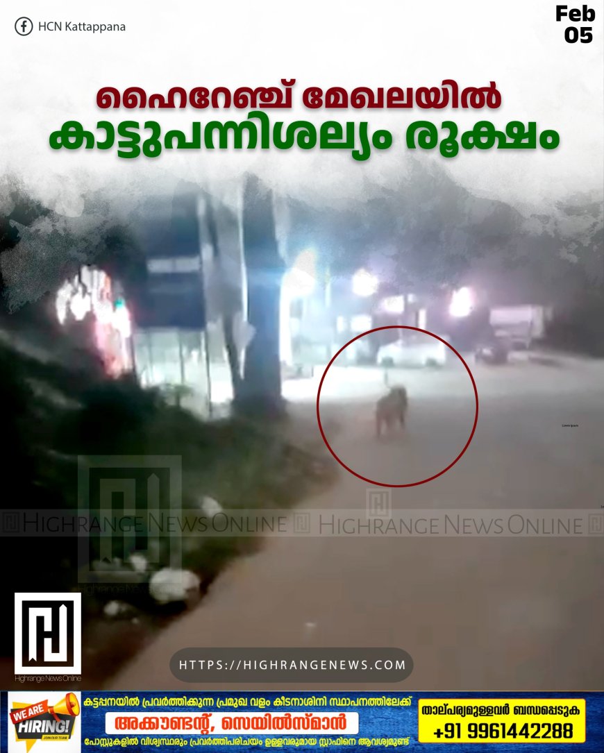 ഹൈറേഞ്ച് മേഖലയില് കാട്ടുപന്നിശല്യം രൂക്ഷം