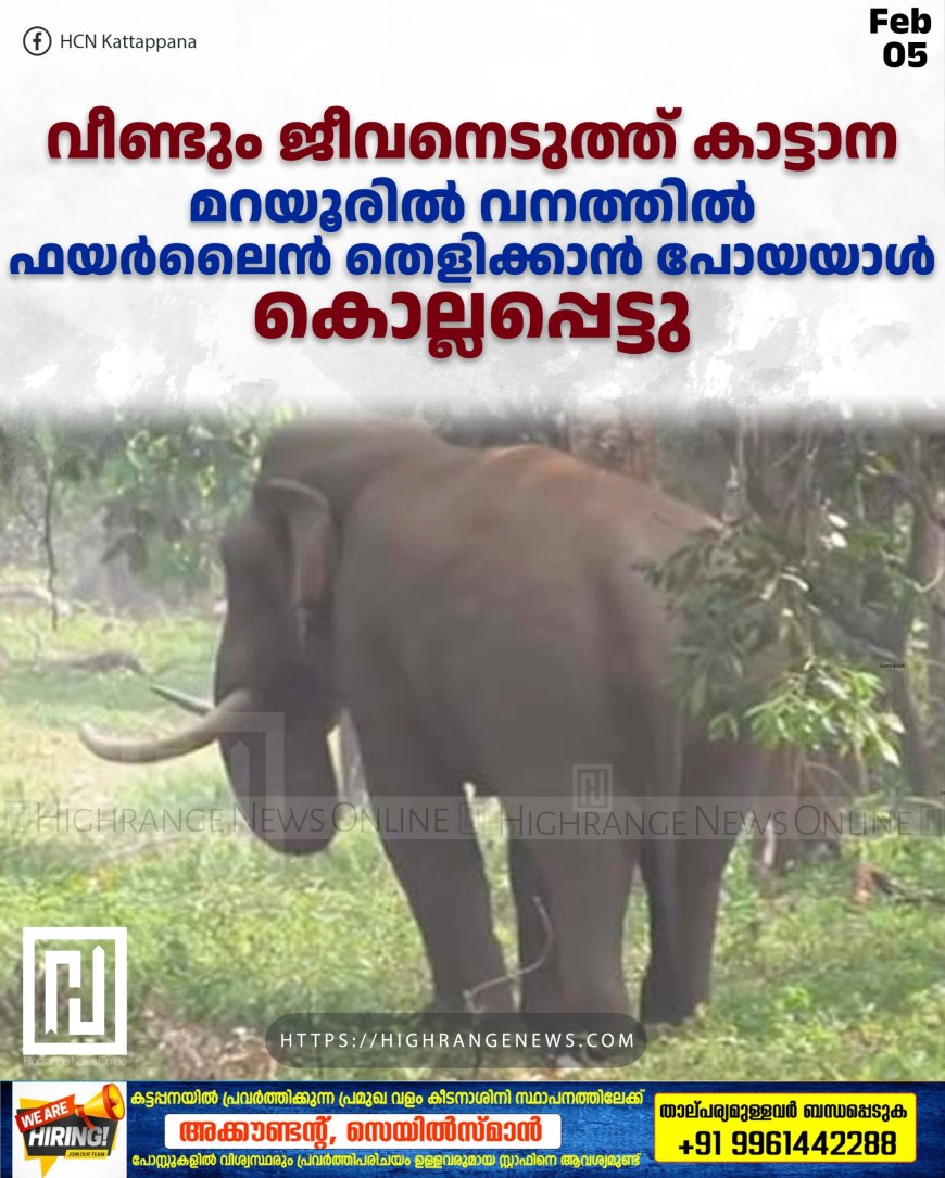 വീണ്ടും ജീവനെടുത്ത് കാട്ടാന: മറയൂരിൽ വനത്തിൽ ഫയർലൈൻ തെളിക്കാൻ പോയയാൾ കൊല്ലപ്പെട്ടു
