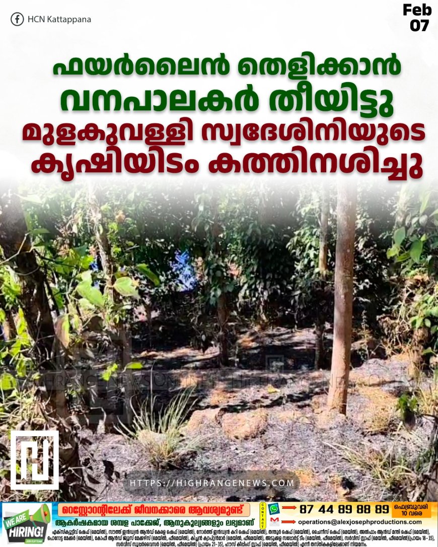 ഫയര്ലൈന് തെളിക്കാന് വനപാലകര് തീയിട്ടു: മുളകുവള്ളി സ്വദേശിനിയുടെ കൃഷിയിടം കത്തിനശിച്ചു