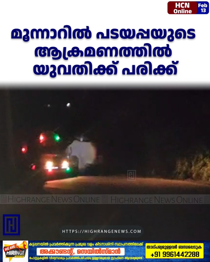 മൂന്നാറില് പടയപ്പയുടെ ആക്രമണത്തില് യുവതിക്ക് പരിക്ക്