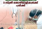  ഗവിയിലെ കെഎഫ്ഡിസി ഏലത്തോട്ടത്തില്‍ കടന്നല്‍ ആക്രമണം: 3 സ്ത്രീ തൊഴിലാളികള്‍ക്ക് പരിക്ക് 