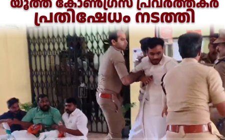 പരുന്തുംപാറയിലെ കൈയേറ്റം ഒഴിപ്പിക്കണം: യൂത്ത് കോണ്‍ഗ്രസ് പ്രവര്‍ത്തകര്‍ പ്രതിഷേധം നടത്തി