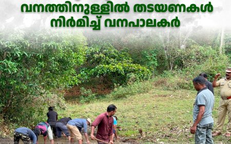 മനുഷ്യ-വന്യജീവി സംഘര്‍ഷം ചെറുക്കുന്നതിനായി വനത്തിനുള്ളില്‍ തടയണകള്‍ നിര്‍മിച്ച് വനപാലകര്‍ 