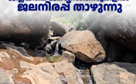 കൊടുംവേനല്‍: ജില്ലയിലെ ജലസ്രോതസുകളില്‍ ജലനിരപ്പ് താഴുന്നു