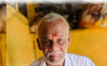 നെടുങ്കണ്ടത്ത് തേനീച്ചയുടെ കുത്തേറ്റ് ചികിത്സയിലായിരുന്ന വയോധികന്‍ മരിച്ചു 