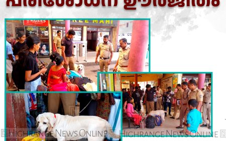 ഓപ്പറേഷന്‍ ഡി ഹണ്ട്: കട്ടപ്പനയില്‍ പരിശോധന ഊര്‍ജിതം