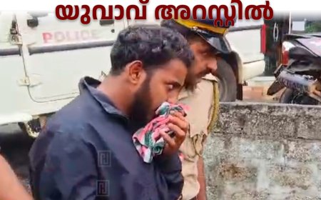 ചേറ്റുകുഴിയിലെ പൊന്നൂസ് സ്റ്റോഴ്‌സില്‍ മോഷണം നടത്തിയ യുവാവ് അറസ്റ്റില്‍ 