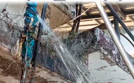 അയ്യപ്പന്‍കോവില്‍ മൃഗാശുപത്രിക്ക് സമീപം കുടിവെള്ളം പാഴാകുന്നു