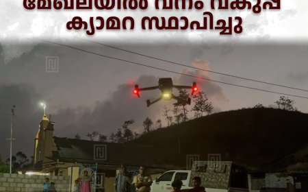 വണ്ടിപ്പെരിയാര്‍ ഗ്രാമ്പിയില്‍ കടുവയുടെ ആക്രമണത്തില്‍ മ്ലാവ് ചത്തു: മേഖലയില്‍ വനം വകുപ്പ് ക്യാമറ സ്ഥാപിച്ചു