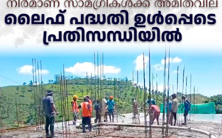 നിര്‍മാണ സാമഗ്രികള്‍ക്ക് അമിതവില: ലൈഫ് പദ്ധതി ഉള്‍പ്പെടെ പ്രതിസന്ധിയില്‍