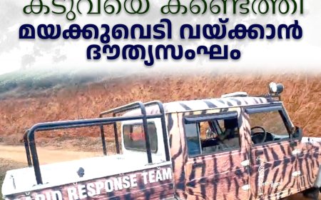 വണ്ടിപ്പെരിയാര്‍ അരണക്കല്ലില്‍ കടുവയെ കണ്ടെത്തി: മയക്കുവെടി വയ്ക്കാന്‍ ദൗത്യസംഘം