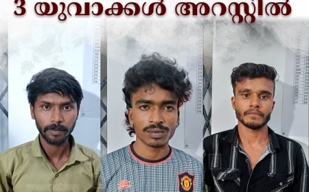 കഞ്ഞിക്കുഴിയില്‍ വീട്ടില്‍ നിന്ന് കുരുമുളക് മോഷ്ടിച്ച 3 യുവാക്കള്‍ അറസ്റ്റില്‍ 