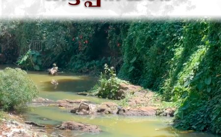 മാലിന്യവാഹിയായി കട്ടപ്പനയാർ