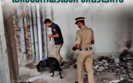 ഡി ഹണ്ട് സ്‌പെഷ്യല്‍ ഡ്രൈവില്‍ പരിശോധന കര്‍ശനമാക്കി പൊലീസ് 