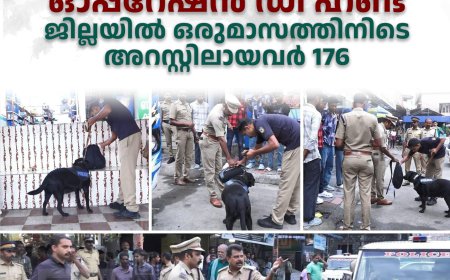 ഓപ്പറേഷന്‍ ഡി ഹണ്ട്: ജില്ലയില്‍ ഒരുമാസത്തിനിടെ അറസ്റ്റിലായവര്‍ 176