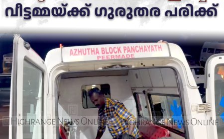വണ്ടിപ്പെരിയാര്‍ വാളാര്‍ഡിയില്‍ ഓട്ടോറിക്ഷയില്‍ കാര്‍ ഇടിച്ച് വീട്ടമ്മയ്ക്ക് ഗുരുതര പരിക്ക്
