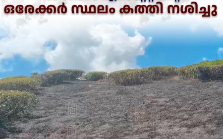 വണ്ടിപ്പെരിയാറില്‍ പോബ്‌സ് എസ്‌റ്റേറ്റിന്റെ ഒരേക്കര്‍ സ്ഥലം കത്തി നശിച്ചു 