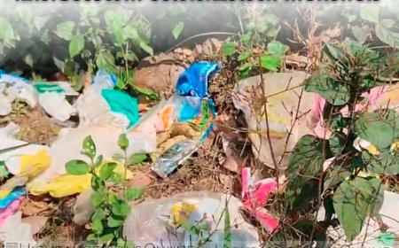 വെള്ളയാംകുടി - കക്കാട്ടുകട ബൈപ്പാസ് റോഡില്‍ മാലിന്യം തള്ളല്‍ രൂക്ഷം: പരിശോധന ശക്തമാക്കി നഗരസഭ 