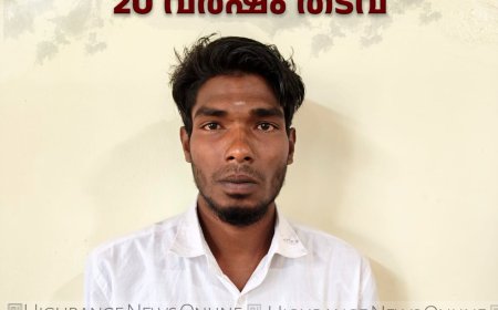 പോക്‌സോ കേസില്‍ അണക്കര സ്വദേശിക്ക് 20 വര്‍ഷം തടവ്