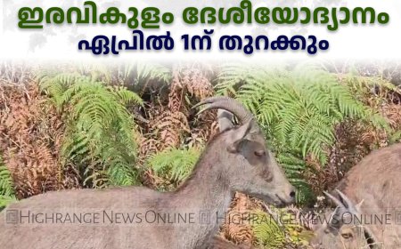 ഇരവികുളം ദേശീയോദ്യാനം ഏപ്രില്‍ 1ന് തുറക്കും